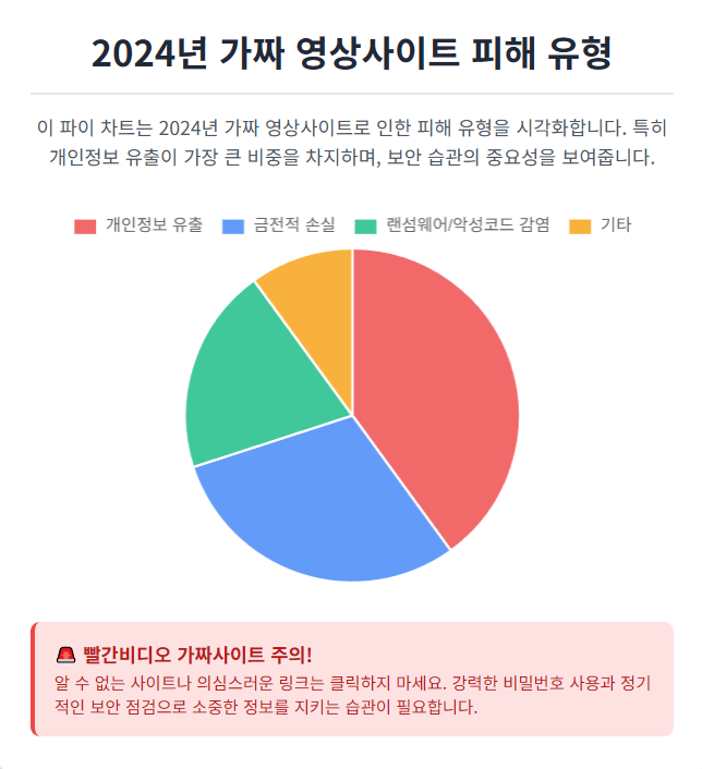 가짜 영상사이트 피해 유형 (2024)